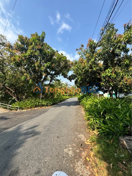 Đất nền Hòa Tây Cao Lãnh 265m² 1,1 tỷ - Sổ đỏ chính chủ