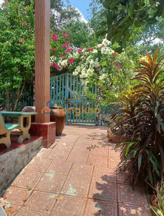 Đất nền Phú Quới Long Hồ 500m² thỏa thuận - Đường ô tô