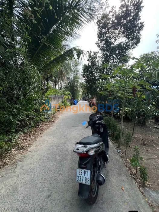 Đất nền Hẻm 96 Chông Chác Cái Răng 498m² 300tr - Đường ô tô vào