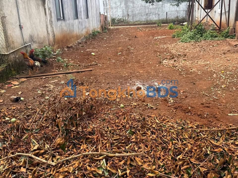 Đất Thổ Cư Hẻm Mậu Thân, BMT - 198m² - Chỉ 999 Triệu