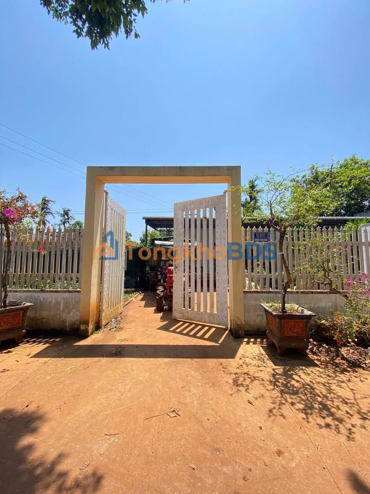 Bán 3 Lô Liền Kề 150m² Thổ Cư, Hẻm 75 Nguyễn Lương Bằng, BMT - Giá Tốt