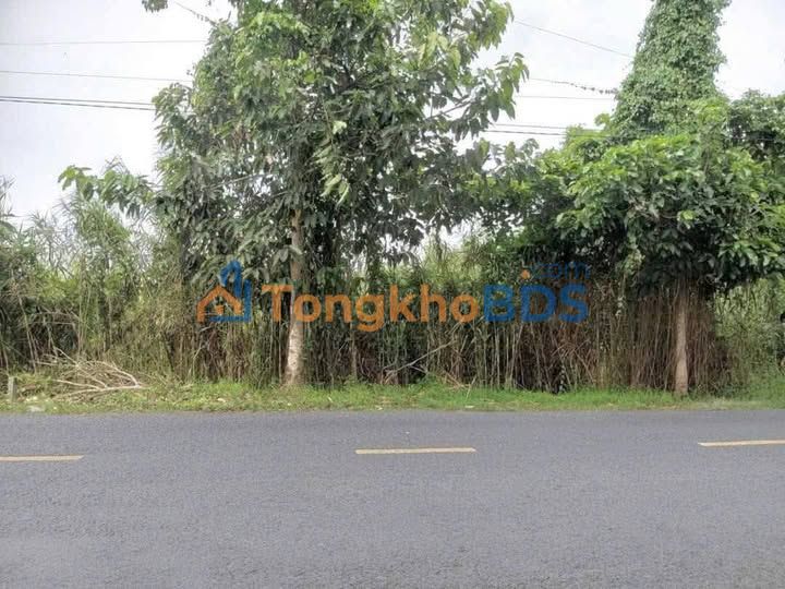 Đất Mặt Tiền Sông & Tỉnh Lộ 4, Châu Thành A, Hậu Giang - 1669m²