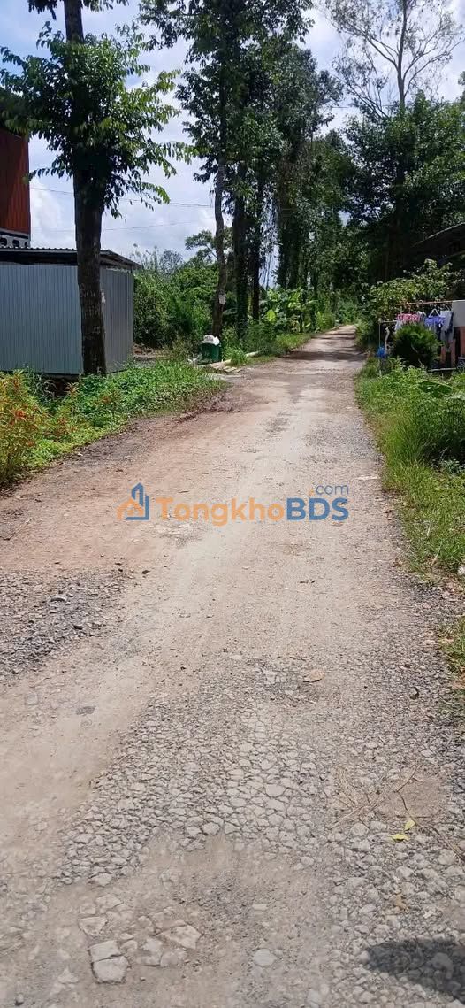 Nhà trọ Cao Lãnh 250m² 4,5 tỷ - Chính chủ bán