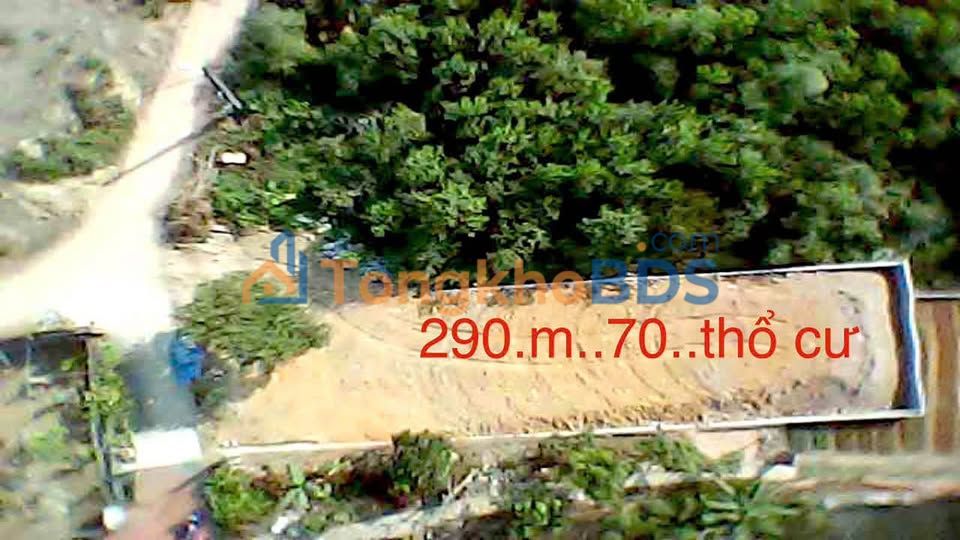 Đất nền Tân Cương, Phổ Yên 290m² - Sổ đỏ sẵn sàng, tài chính tốt!