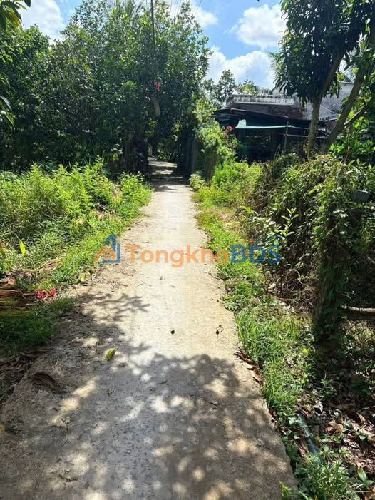 Đất nền Đồng Tháp 5.000m² giá 5 tỷ - Sổ hồng chính chủ