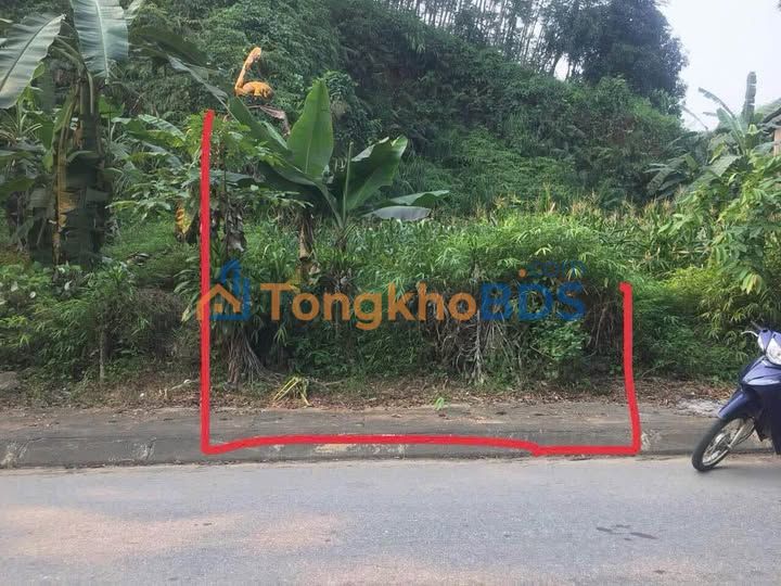 Đất nền Yên Bái 100m² Đường Thanh Liên - Sổ Đỏ ODT, Giá Tốt