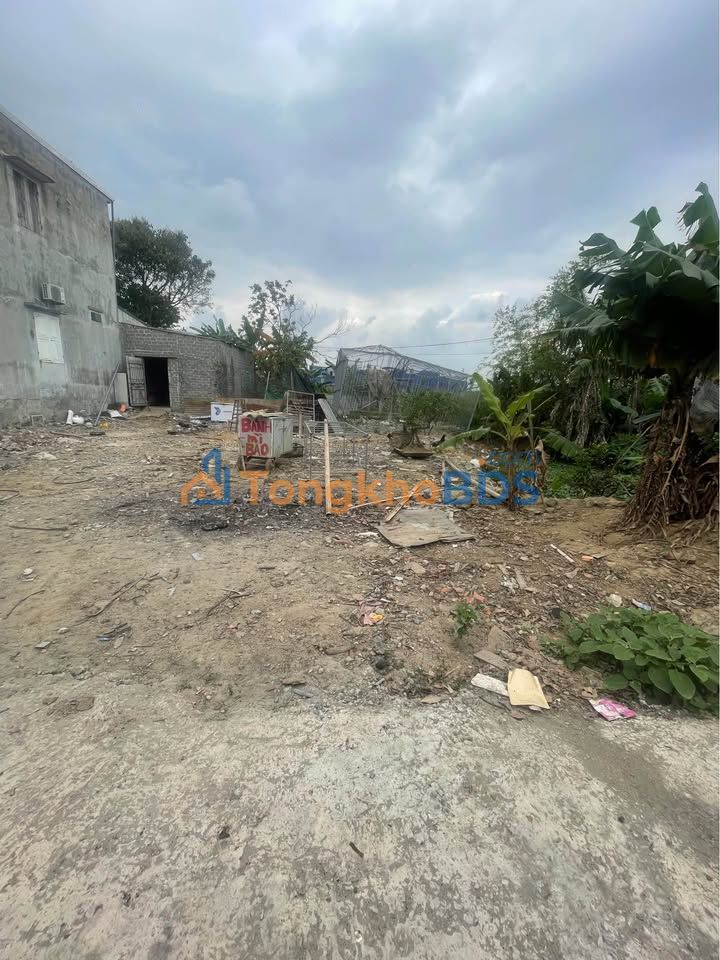 Đất Vàng Ninh Bình - 180m² Mặt Tiền 10m - Giá 5 Tỷ