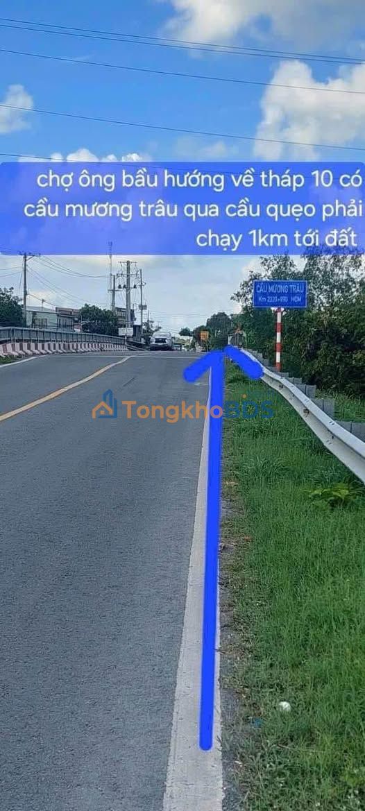 Đất nền Hồ Chí Minh Cao Lãnh 17.000m² giá 2xxx - Sổ đỏ chính chủ