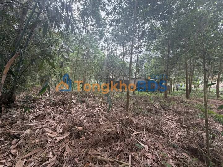 Bán Đất Vườn View Suối 2500m² - Sổ Đỏ Thổ Cư Tại Phổ Yên, Thái Nguyên