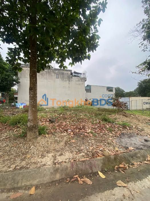 Đất nền biệt thự Lào Cai 336m² 5 tỷ Sổ đỏ chính chủ