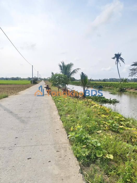 Đất nền Mỹ Xuyên Sóc Trăng 805m² - Sổ đỏ, Xe tải vào tận nơi