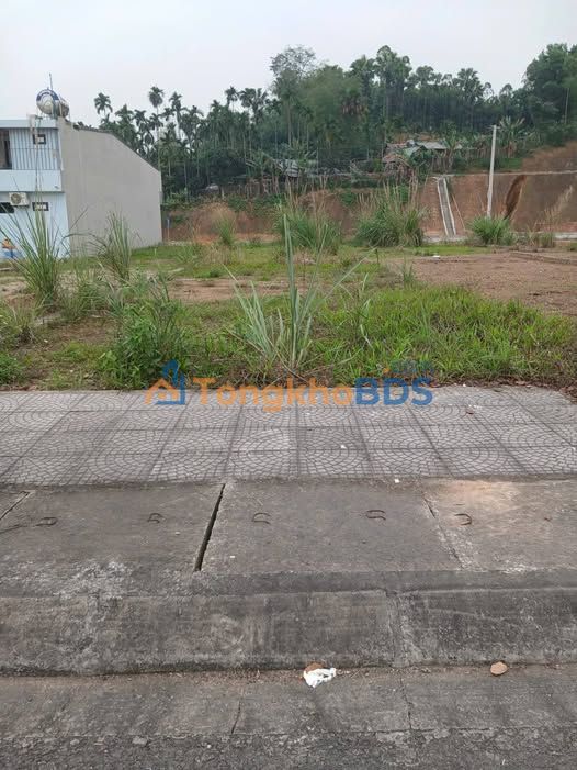 Bán đất thổ cư 120m² TDC Đầu Cầu Giới Phiên, Yên Bái - Giá 2.2 tỷ