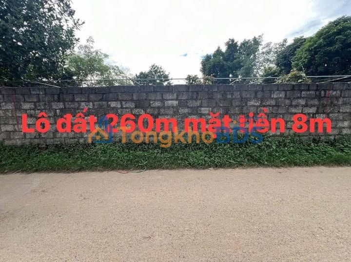 Đất nền Phổ Yên 260m² - Mặt tiền 8m, gần trường học, giá chỉ 1.3 tỷ