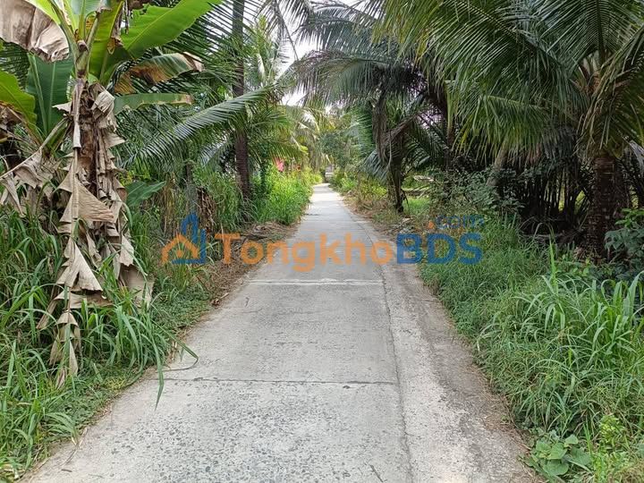 Đất Vườn Trà Vinh 800m² Giá Tốt - Sẵn Sàng Đầu Tư