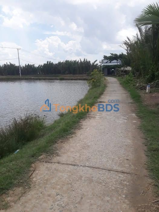 Đất nền Long Hòa Trà Vinh 8600m² 1.05 tỷ - Tiềm năng tăng giá