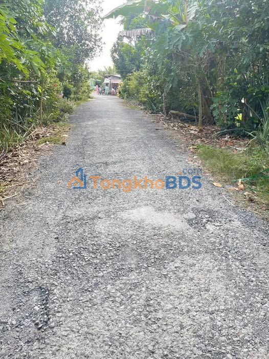 Bán Đất Nền Xã Mỹ Tân, Cao Lãnh - 233.6m² Thổ Cư, Sổ Hồng Riêng