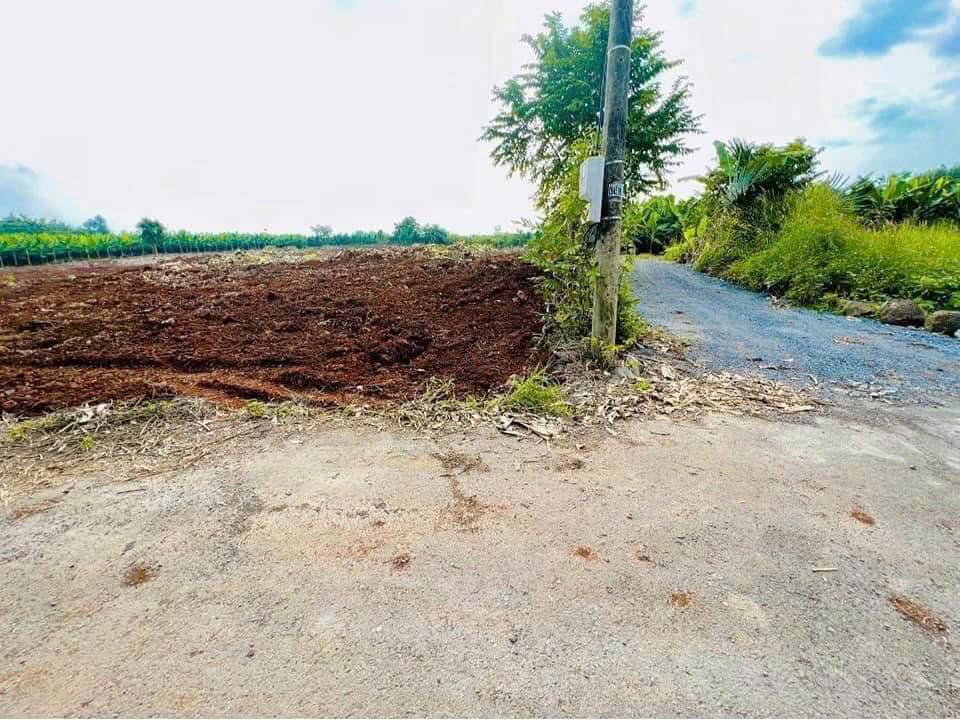 Bán Đất Mặt Tiền Kp6 Long Khánh 479m² Sổ Đỏ - 1.35 Tỷ