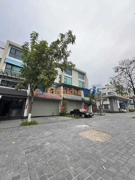 Nhà Liền Kề Bitexco Trần Hưng Đạo 171.6m² - Kinh Doanh & Ở Đều Đỉnh