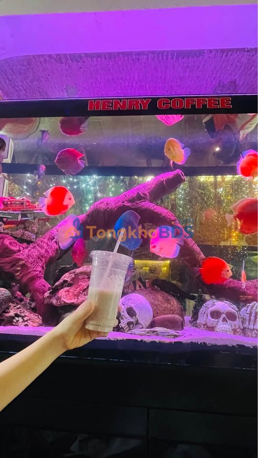 Đất nền Phường 6 Cao Lãnh 171m² 550 triệu - Sổ đỏ chính chủ