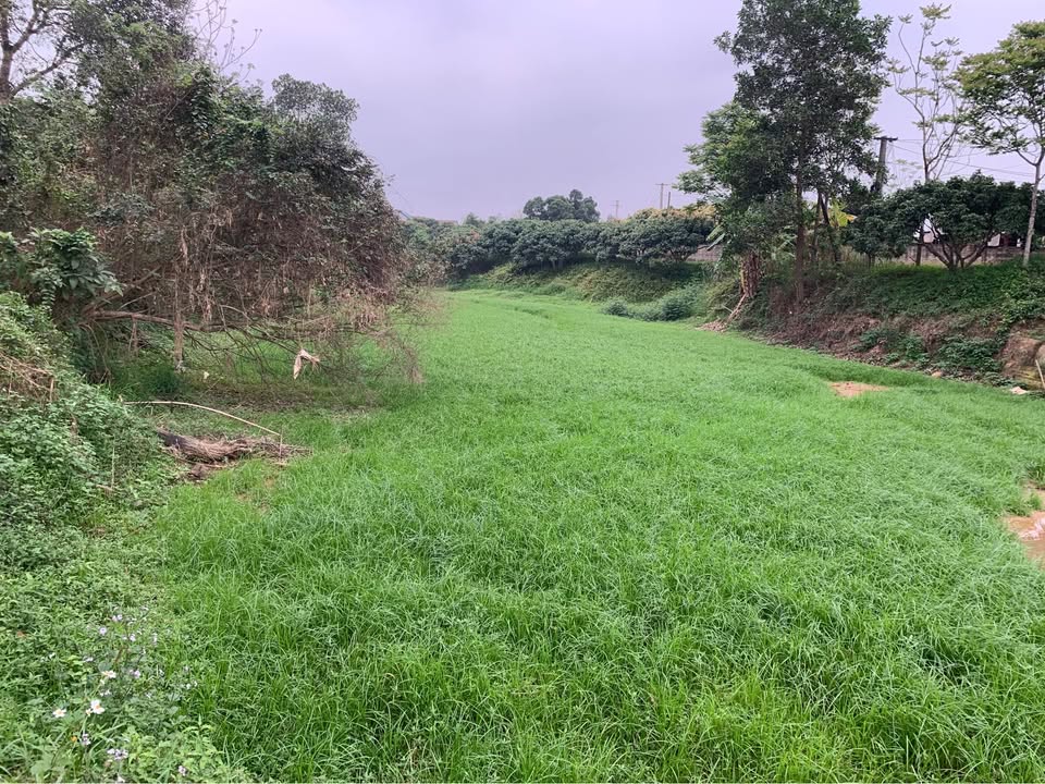 Bán Đất Vườn Yên Thế 400m² - Sẵn Sàng Xây Trang Trại Nghỉ Dưỡng