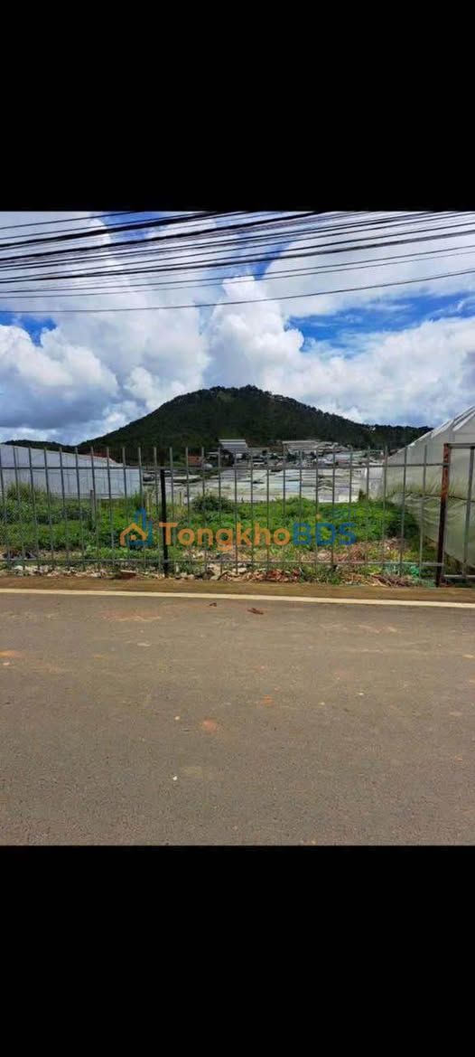 Đất nền Thái Phiên P12 Đà Lạt 650m² 9,5 tỷ - Sổ đỏ chính chủ