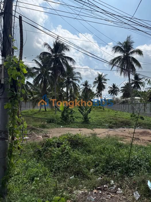 Đất Phú Hòa Trà Vinh 5.600m² 16.8 tỷ - Sổ đỏ chính chủ