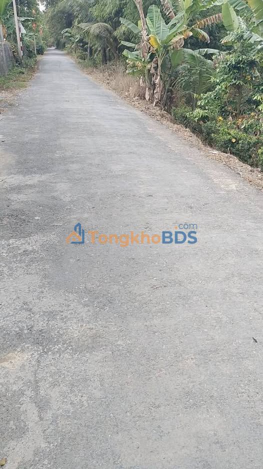 Đất nền Mỹ Hòa Tháp Mười 1.100m² giá 1 tỷ - Sổ đỏ chính chủ