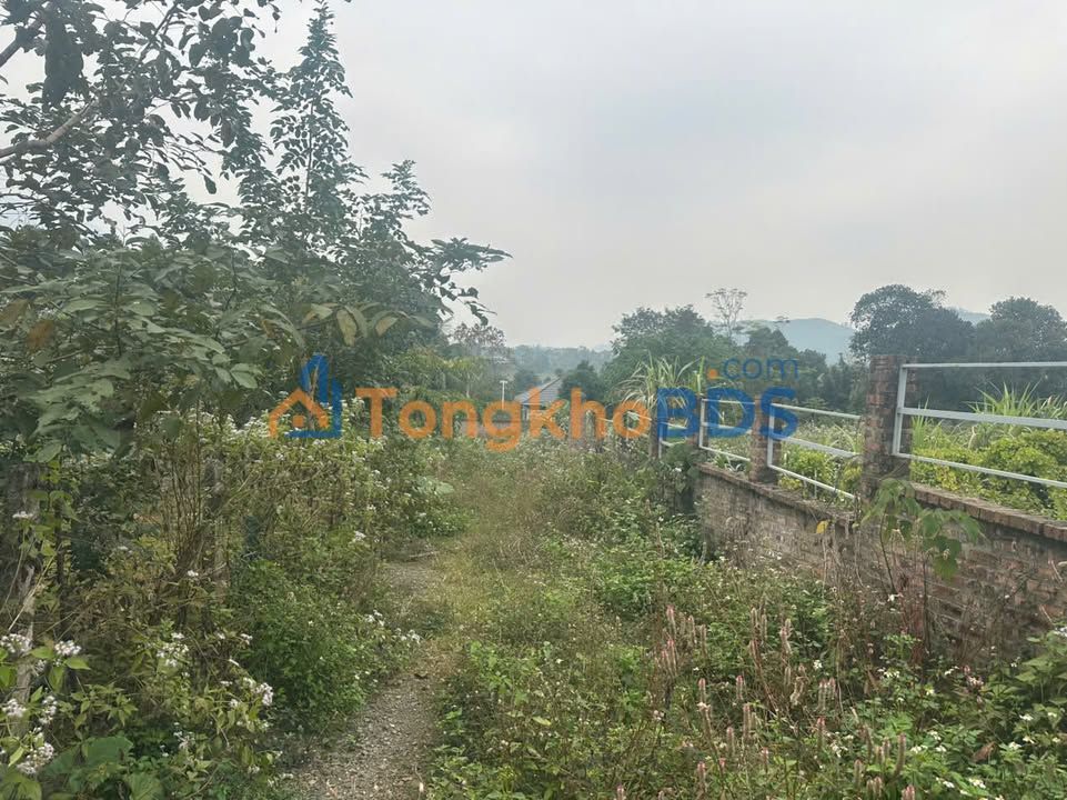 Đất Nền Hòa Lạc 2300m² Sổ Đỏ Sẵn - Chuyển Đổi Tài Sản Số Sang BĐS Thực