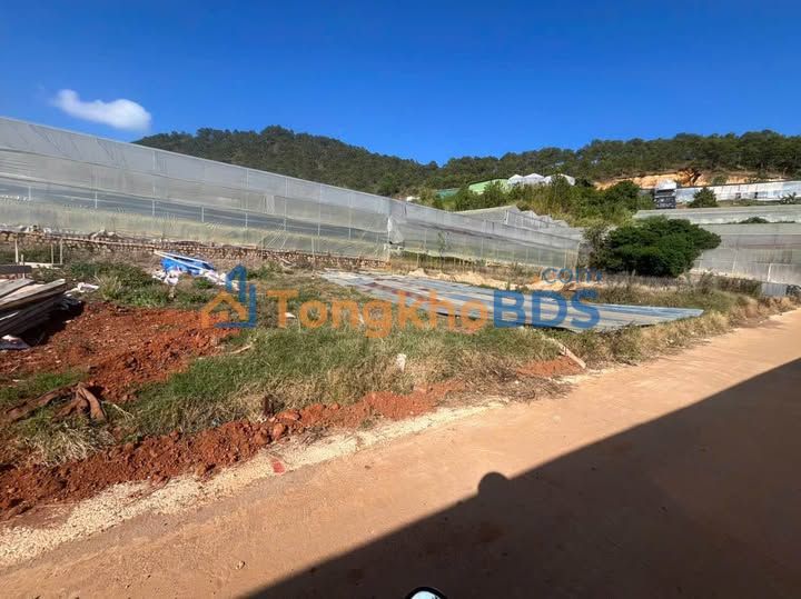 Đất Phường 4 Đà Lạt 50m² Sổ Đỏ - Xây Nhà An Cư Lý Tưởng