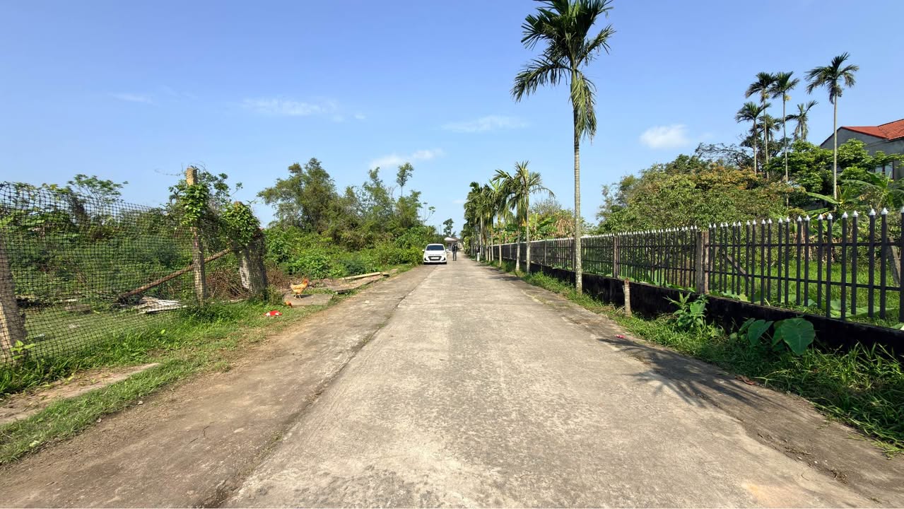 Đất Nền Tân An, Tân Kỳ 250m² - Sổ Đỏ Rõ Ràng, Giá Đầu Tư 18 Tỷ