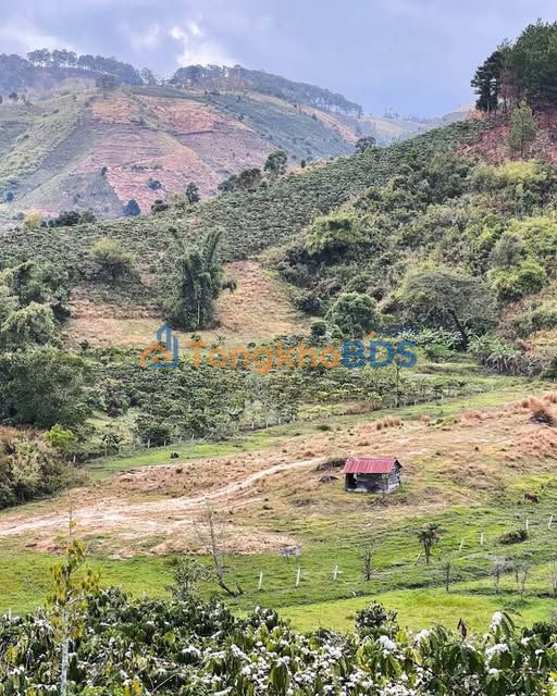 Bán đất farm 5500m² sổ riêng Tà Nung, Đà Lạt - Gần The Floomeet