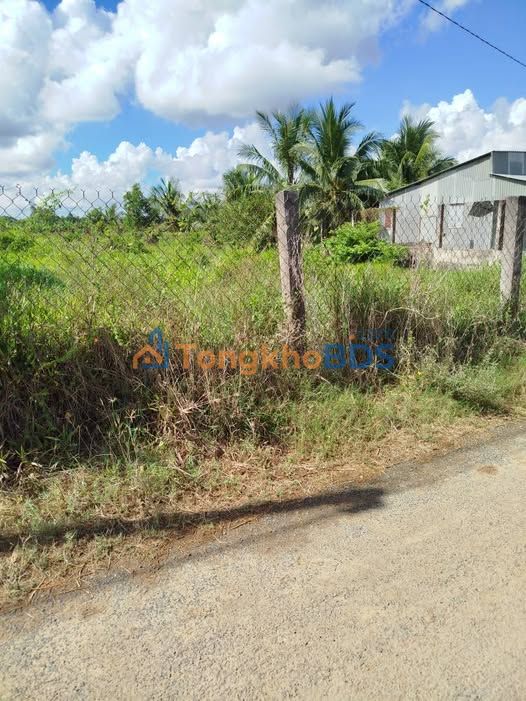 Đất Vườn Trà Vinh 2000m² - Mặt Tiền Nhựa Gần Chợ Sâm Bua