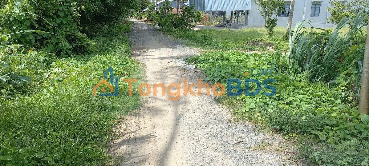 Đất nền Long Thắng Lai Vung 128m² 380 triệu - Pháp lý rõ ràng