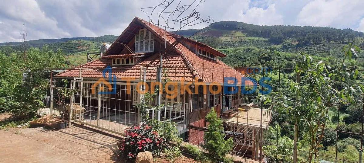 Đất Nền Nghỉ Dưỡng Nam Ban - Lâm Hà (501m²) - Sổ Riêng - Chỉ 2.5 Tỷ