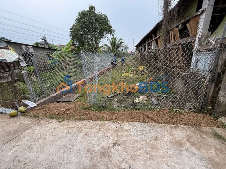 Đất nền Phú Hựu 135m² 420tr - Đất thổ cư 100% gần chợ