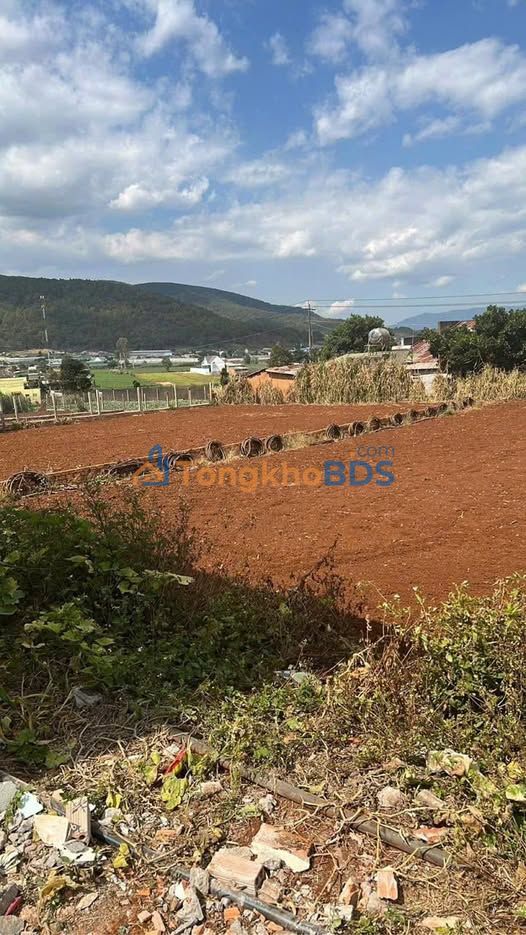 Đất nền Đạ Ròn - Mặt tiền 12m - 1.55 Tỷ - Sẵn thổ cư