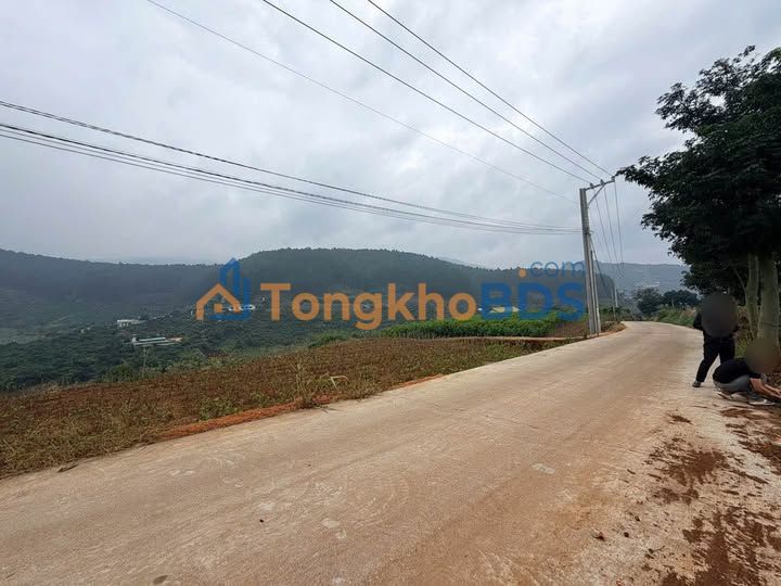 Đất Nghỉ Dưỡng Tà Nung Đà Lạt 1056m² - View Rừng Thông Thoáng Đãng