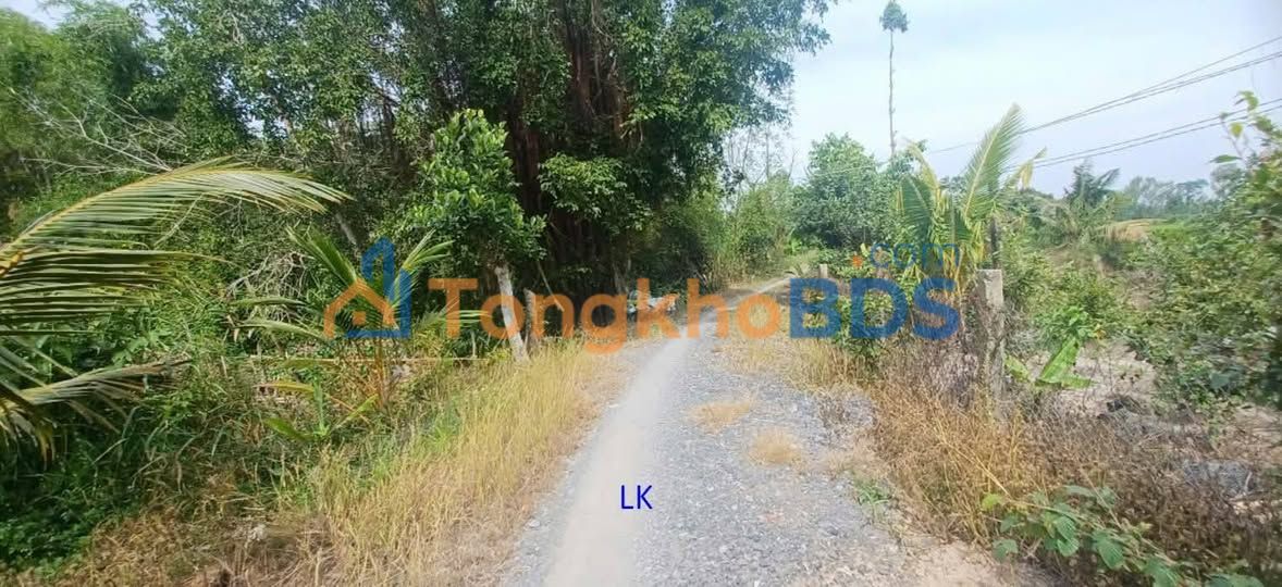 Bán Nền 185m² Giá 320 Triệu Đồng Tháp - Sổ Hồng Riêng