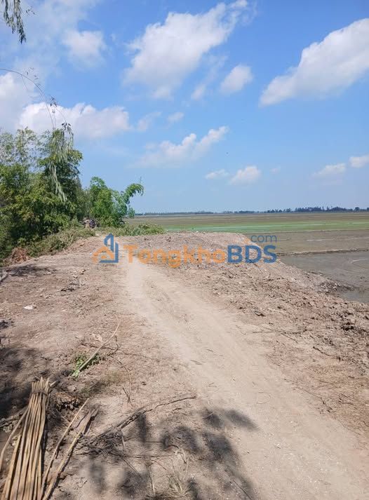 Đất Ruộng 30.000m² 2 Mặt Tiền Sông Lớn - Tam Nông, Đồng Tháp