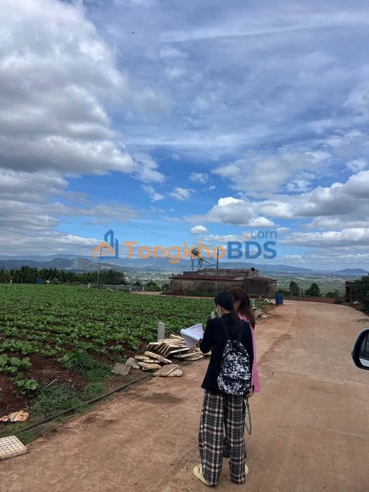 Đất Nền Sổ Hồng Riêng 250m² Ven Đà Lạt - Chỉ 450 Triệu