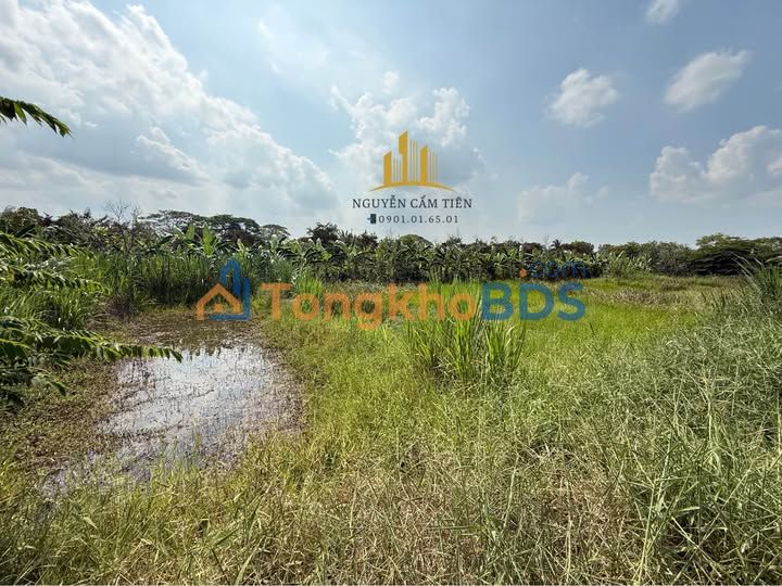 Đất nền mặt tiền DT 846, Cao Lãnh 572m² - Đầu tư sinh lời 2.1 tỷ