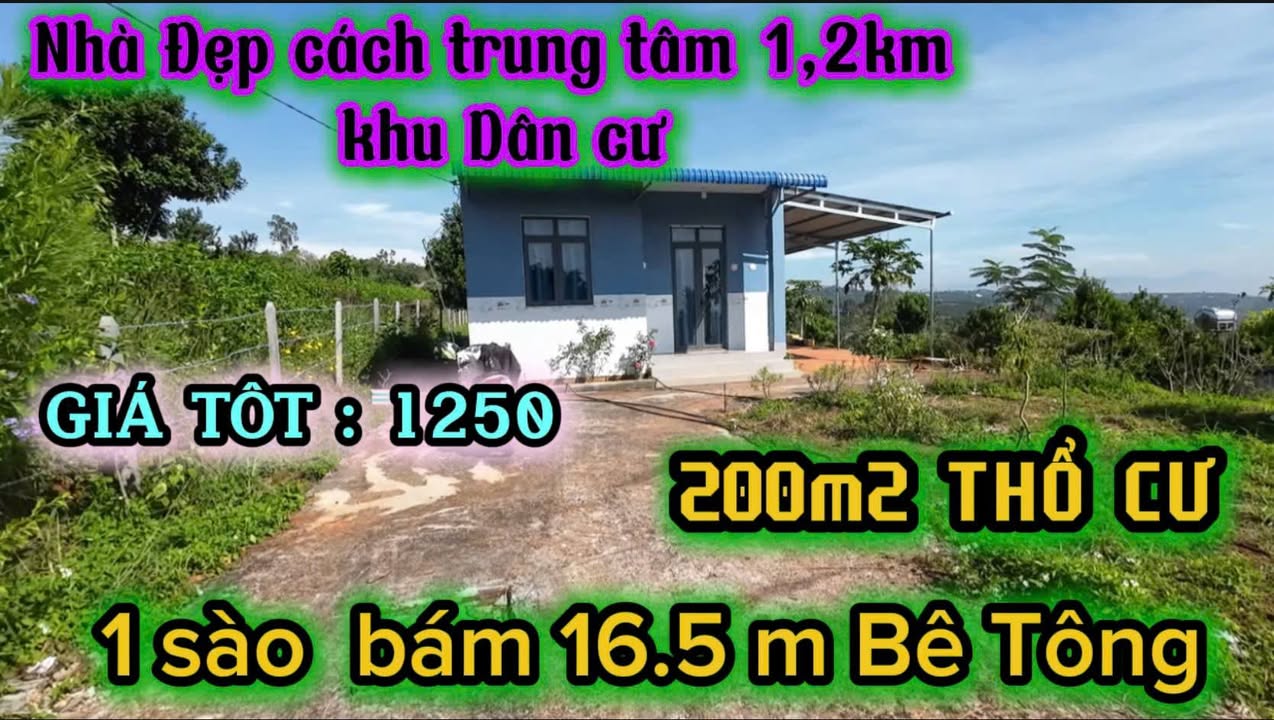 Đất 3600m² Tặng Nhà Cấp 4, Lâm Hà, Lâm Đồng - Giá 1.25 Tỷ