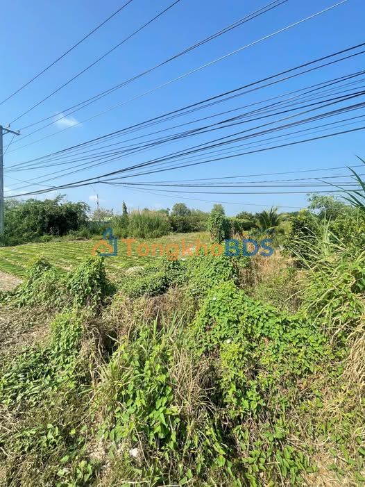 Đất Nền Mặt Tiền ĐT 847, Cao Lãnh - 1016m² Hướng Đông Nam, Giá 2.35 Tỷ