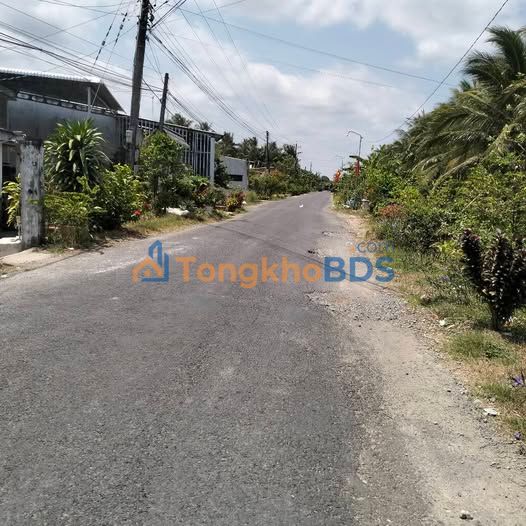 Bán Gấp Đất Vườn Trà Vinh 11.500m² - Giá Đầu Tư 170 Triệu