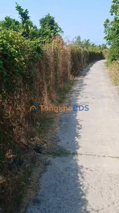 Đất nền 1200m² Long An có 21 phòng trọ, dòng tiền 1.45 tỷ