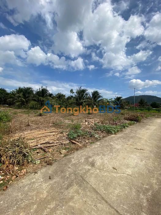 Đất Nền Vĩnh Phương Nha Trang 217.8m² - Sổ Hồng Riêng, Giá Đầu Tư Hời