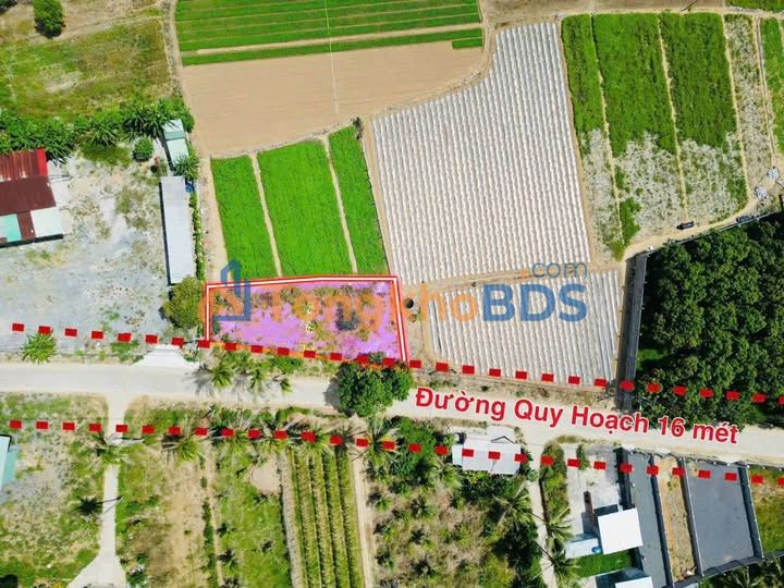 Đất Vĩnh Phương Nha Trang - 2 Lô Mặt Tiền Đường 16m, Giá 1.15 Tỷ