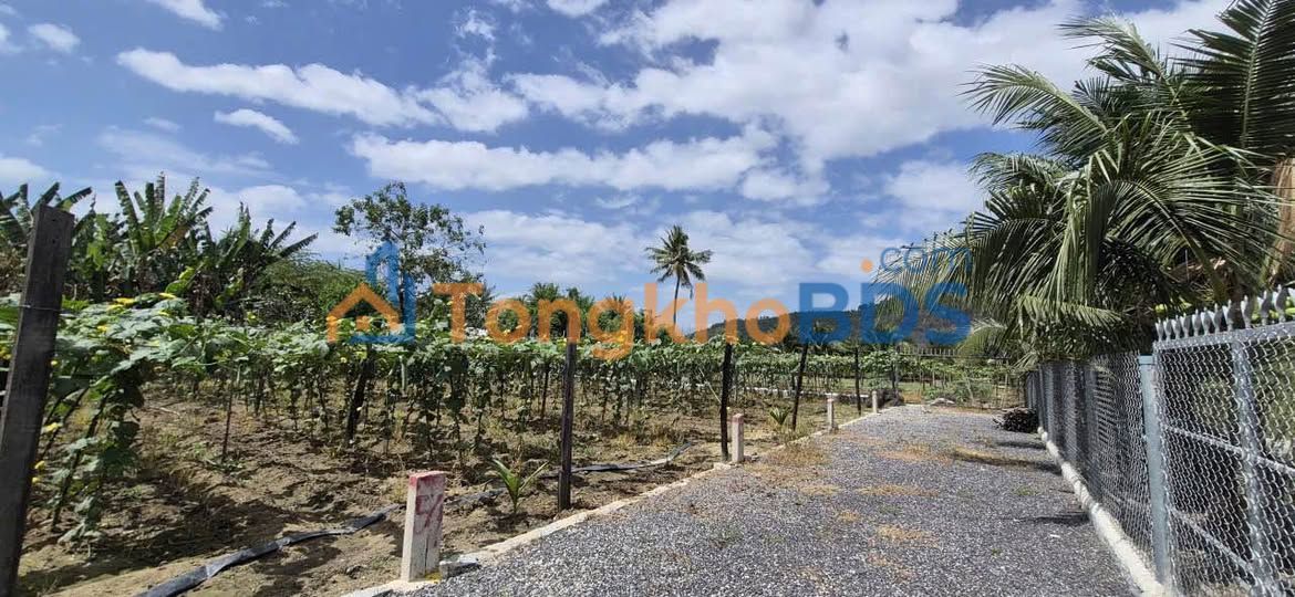 Đất nền Diên Sơn, Khánh Hòa - 104m² full thổ, ô tô vào đất, giá 740 triệu