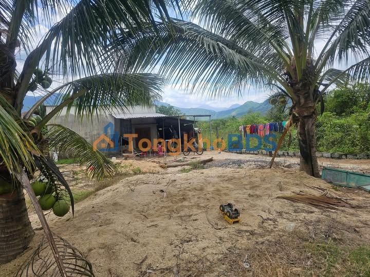 Đất Ninh Hải 600m² - Mặt Tiền Đường Nhựa 15m - Giá 1.3 Tỷ