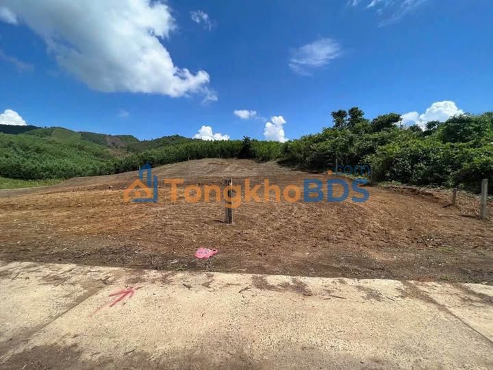 Bán Đất Sông Cầu - Khánh Vĩnh: 1000m²/lô, Giá 190 Triệu, Sổ Đỏ Sẵn Sàng